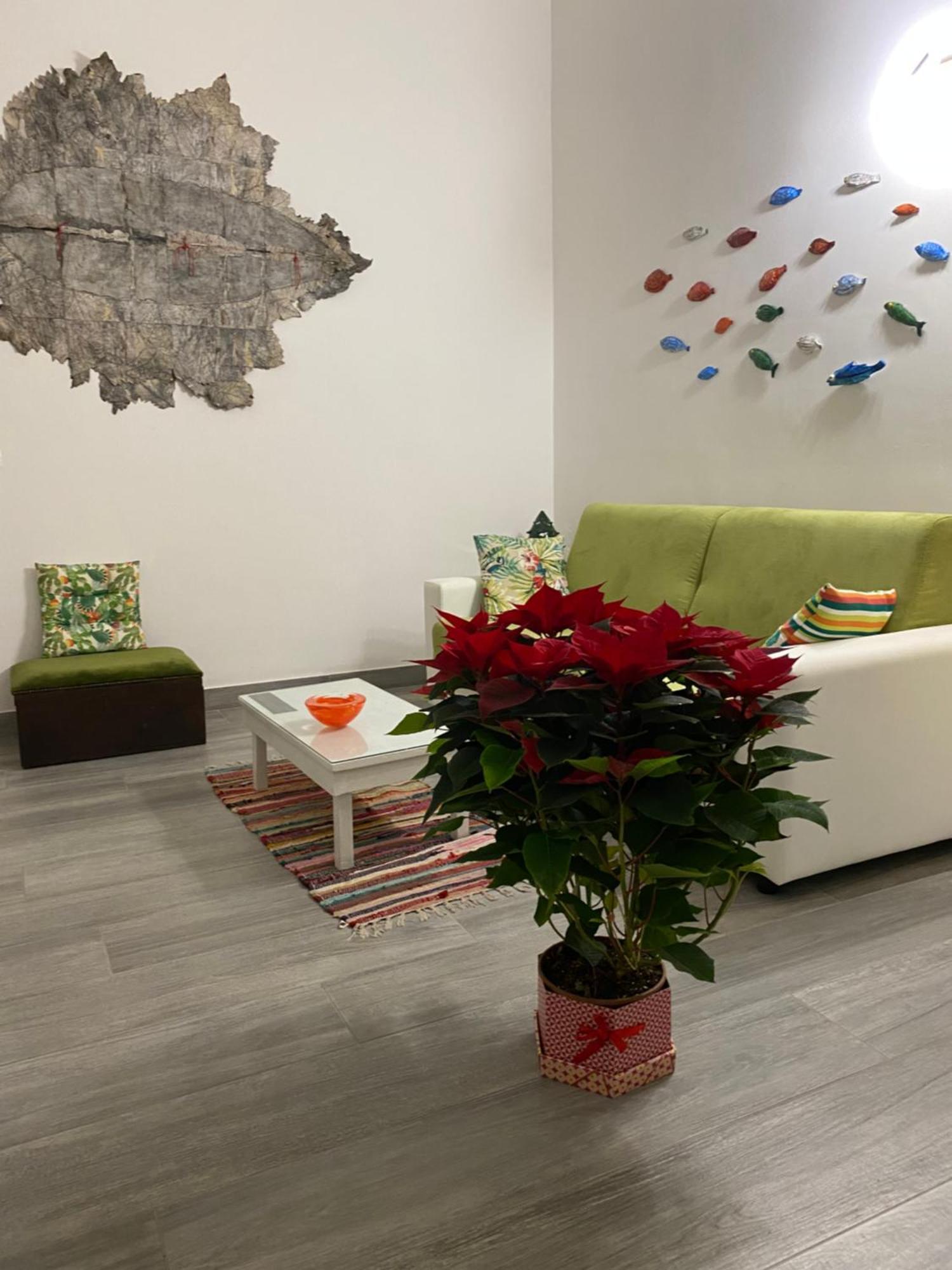 Iris Apartment 比谢列 外观 照片